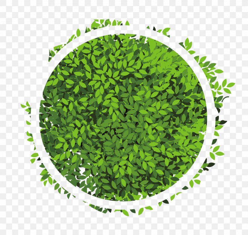 Circle, PNG, 1908x1812px, Green, Grass, Leaf, Tree Download Free