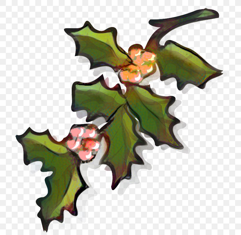 Holly Aquifoliales Christmas Ornament Graphics Clip Art, PNG, 769x799px, Holly, American Holly, Aquifoliales, Christmas Day, Christmas Ornament Download Free