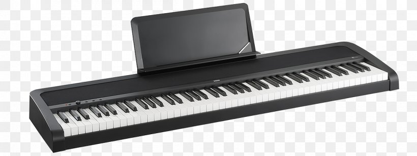 Korg B1 Digital Piano Keyboard Musical Instruments, PNG, 1200x450px, Watercolor, Cartoon, Flower, Frame, Heart Download Free