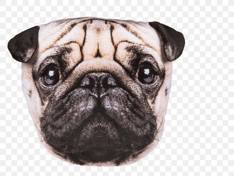 Pug Throw Pillows Cushion Beagle, PNG, 945x709px, Pug, Beagle, Bed, Bedding, Bulldog Breeds Download Free