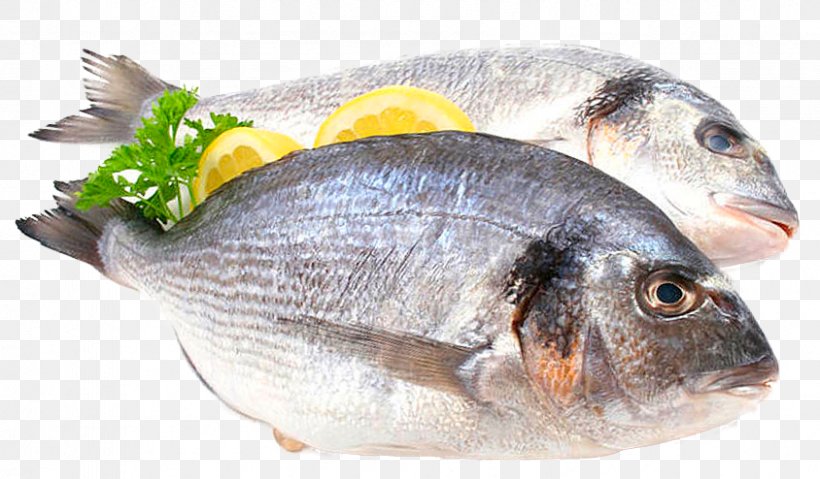 Food Fish Protein Gilt-head Bream Fat, PNG, 844x494px, Food, Animal Source Foods, Dieting, Egg, Fat Download Free
