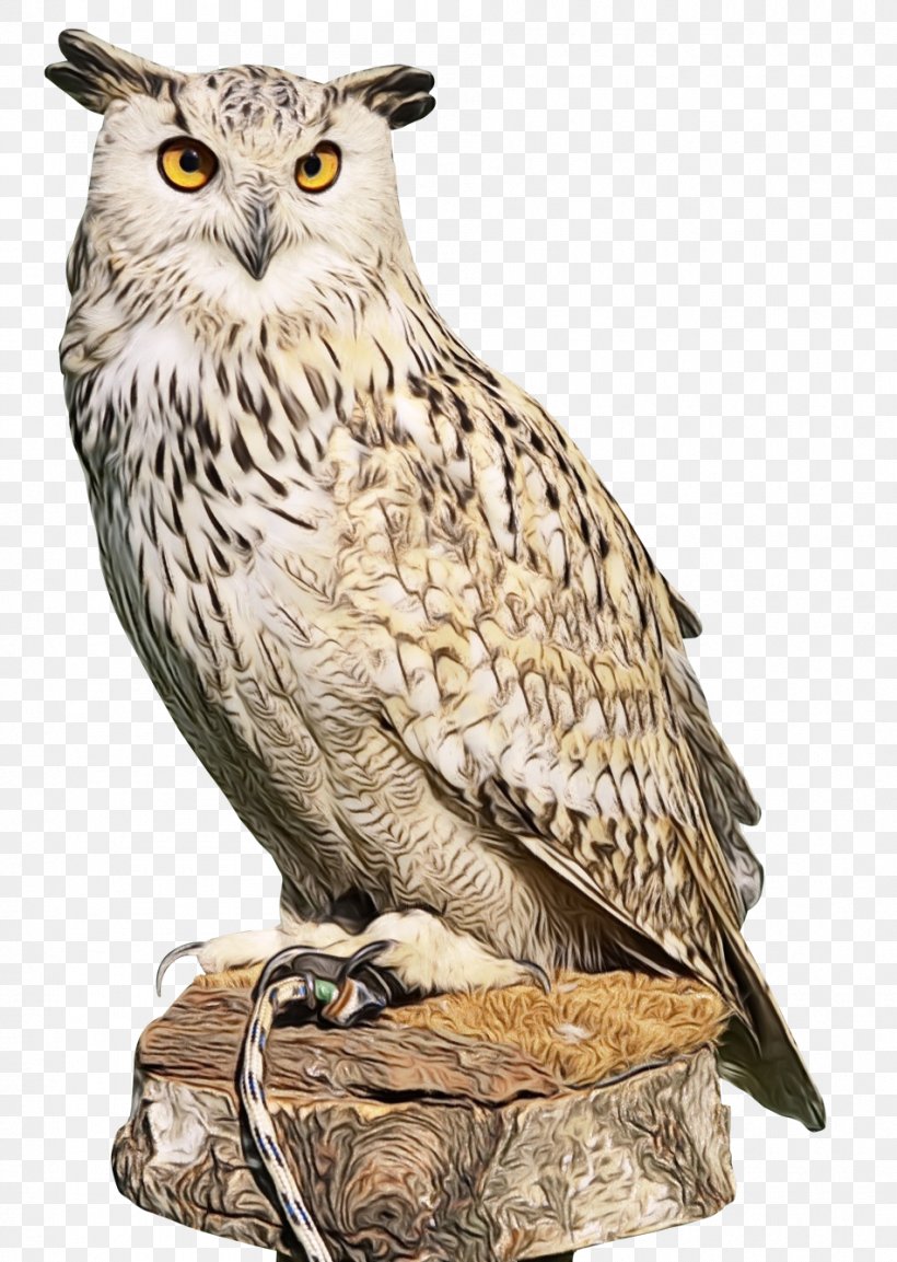 Owl Bird Bird Of Prey Great Horned Owl Animal Figure, PNG, 950x1336px, Watercolor, Animal Figure, Beak, Bird, Bird Of Prey Download Free