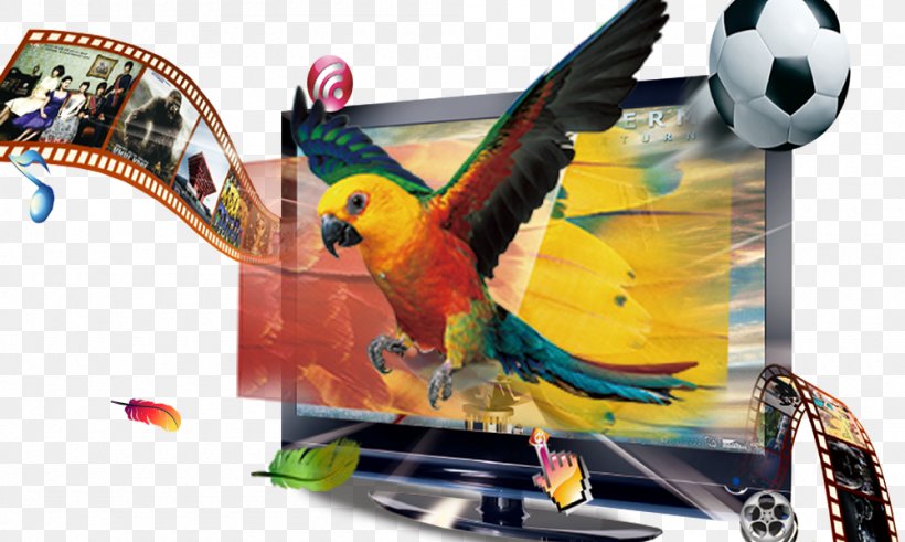 Television 4K Resolution Poster, PNG, 1000x600px, 4k Resolution, Television, Advertisement Film, Advertising, Beak Download Free