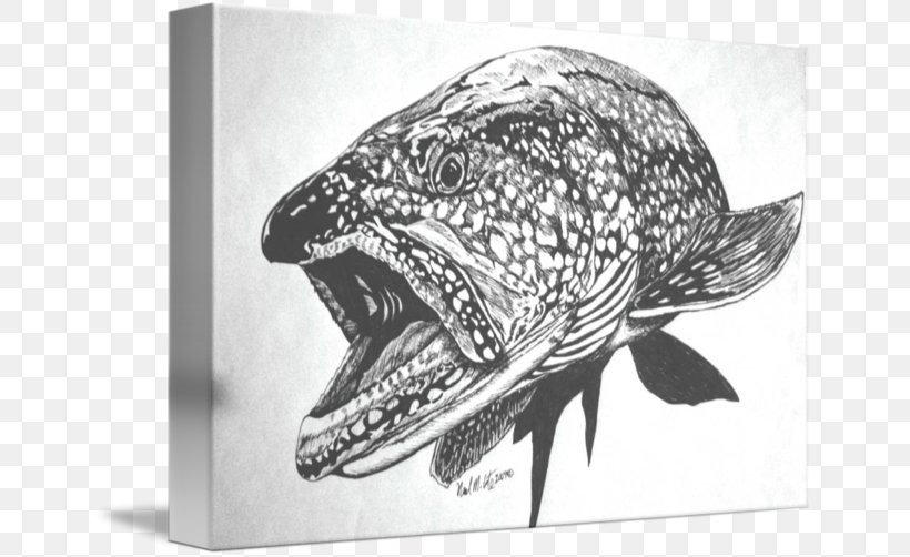 Drawing Lake Trout Painting, PNG, 650x502px, Drawing, Art, Artwork, Black And White, Com Download Free