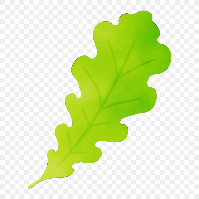 Plane, PNG, 1200x1200px, Watercolor, Flower, Green, Leaf, Leaf Vegetable Download Free