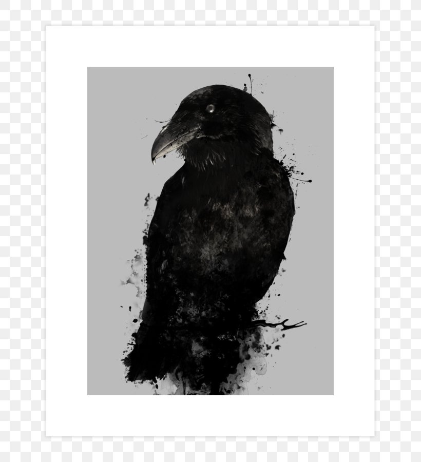 American Crow Common Raven The Raven Odin Huginn And Muninn, PNG, 740x900px, American Crow, Art, Beak, Bird, Black And White Download Free