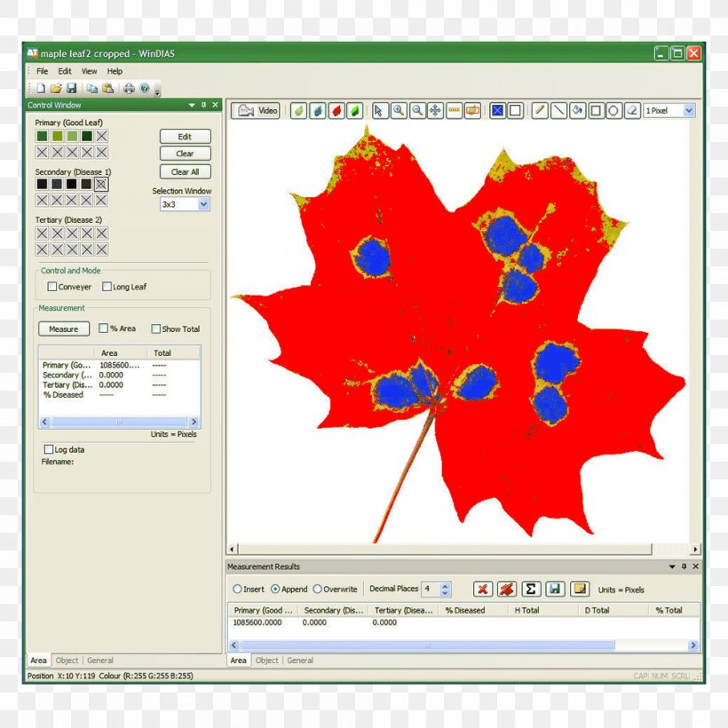 Leaf Area Index Measurement Image Analysis System, PNG, 1000x1000px, Leaf, Analysis, Area, Diagram, Image Analysis Download Free