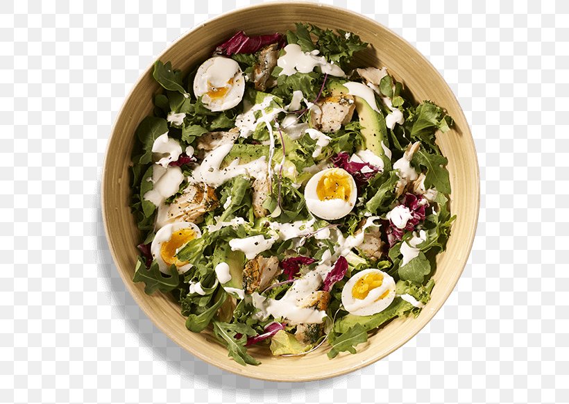 Salad Meat Egg Mayonnaise Taste, PNG, 565x582px, Salad, Caesar Salad, Cooking, Cuisine, Dessert Download Free