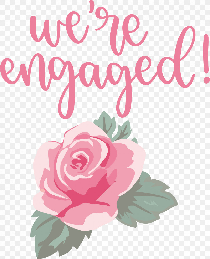 We Are Engaged Love, PNG, 2433x3000px, Love, Cabbage Rose, Cut Flowers, Floral Design, Flower Download Free