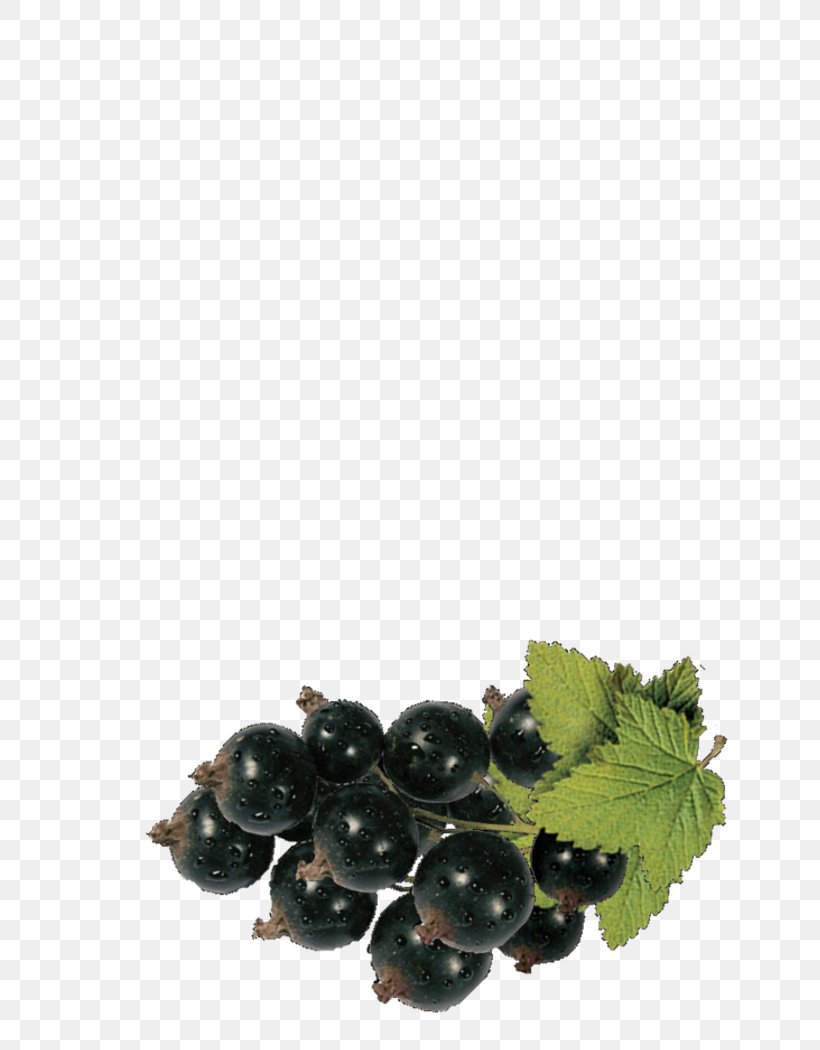 Zante Currant Juice Blackcurrant Grape Nectar, PNG, 650x1050px, Zante Currant, Accessory Fruit, Berry, Bilberry, Blackberry Download Free
