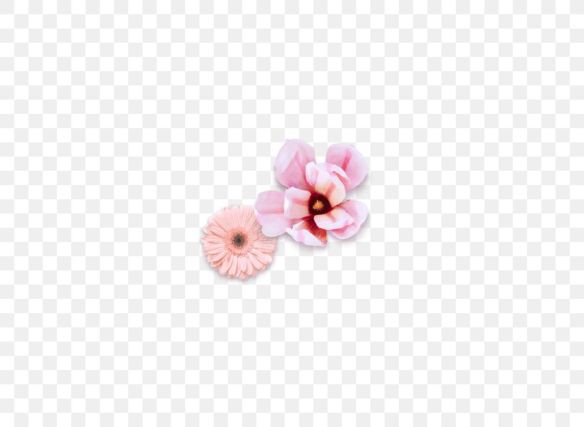 Flower Ornament Pattern, PNG, 600x600px, Flower, Common Sunflower, Decorative Arts, Google Images, Ornament Download Free