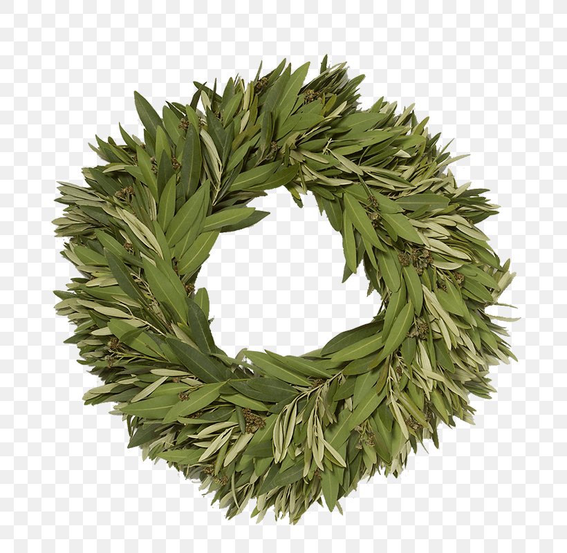 Olive Wreath Gift House Dining Room, PNG, 800x800px, Wreath, Bay Laurel, Bay Leaf, Chair, Christmas Download Free