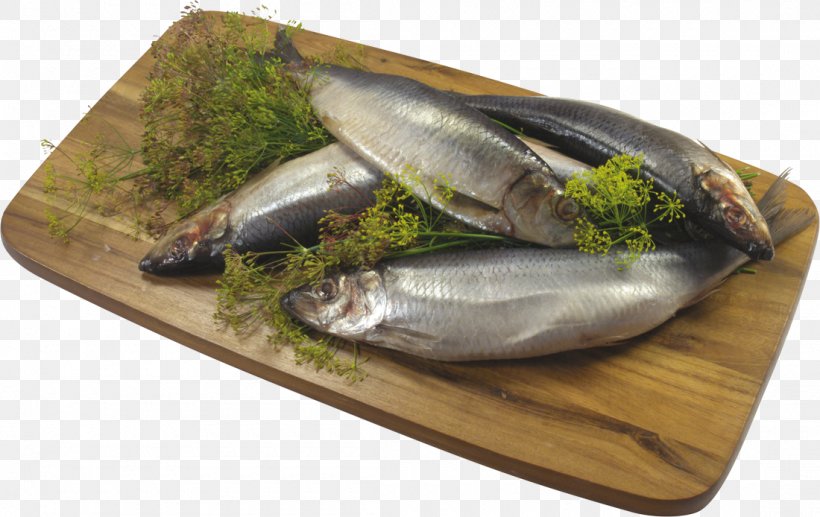 Sardine Kipper Fish Products Food, PNG, 1100x694px, Sardine, Animal Source Foods, Atlantic Herring, Clupea, Dish Download Free