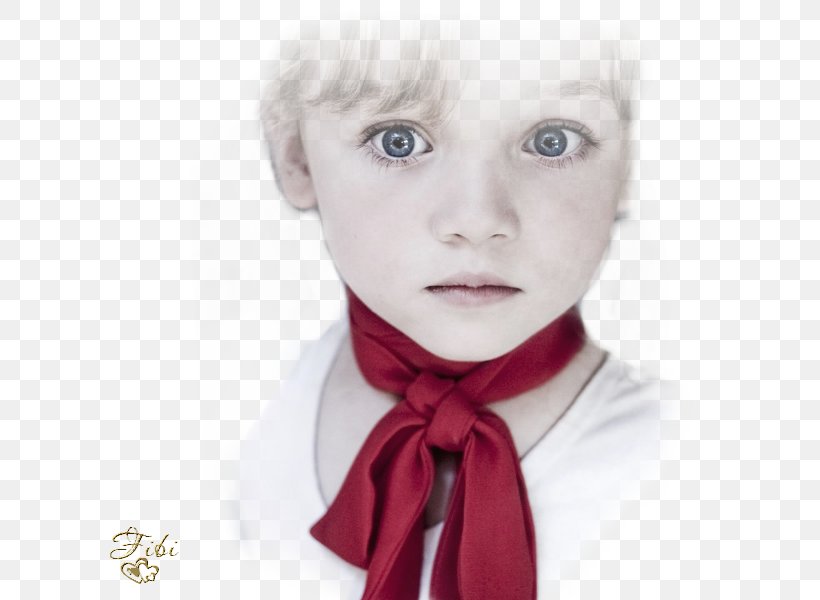 Blog Child VKontakte Eye, PNG, 600x600px, Watercolor, Cartoon, Flower, Frame, Heart Download Free