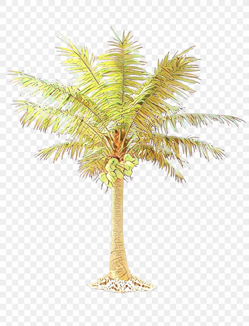 Palm Trees Clip Art California Palm Mexican Fan Palm, PNG, 1221x1599px, Palm Trees, Arecales, Attalea Speciosa, Borassus Flabellifer, California Palm Download Free