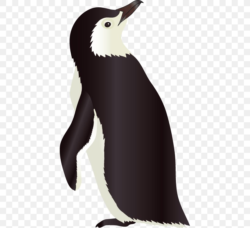 Penguin Razorbills Vecteur, PNG, 427x746px, Penguin, Beak, Bird, Cartoon, Drawing Download Free