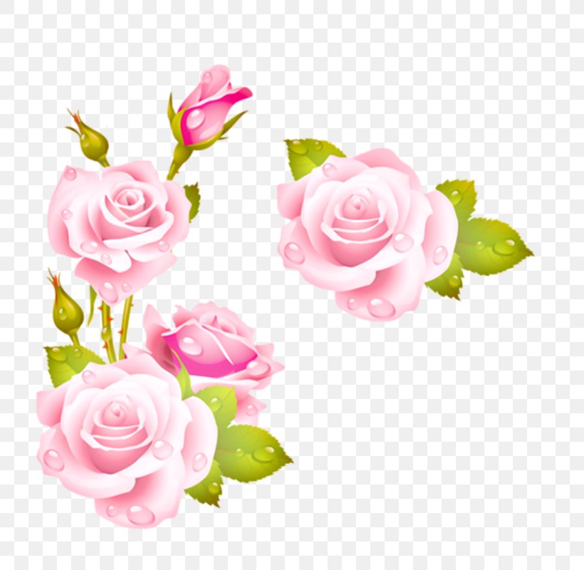 Rose Flower Picture Frames Pink Clip Art, PNG, 800x800px, Rose, Artificial Flower, Cut Flowers, Decorative Arts, Floral Design Download Free