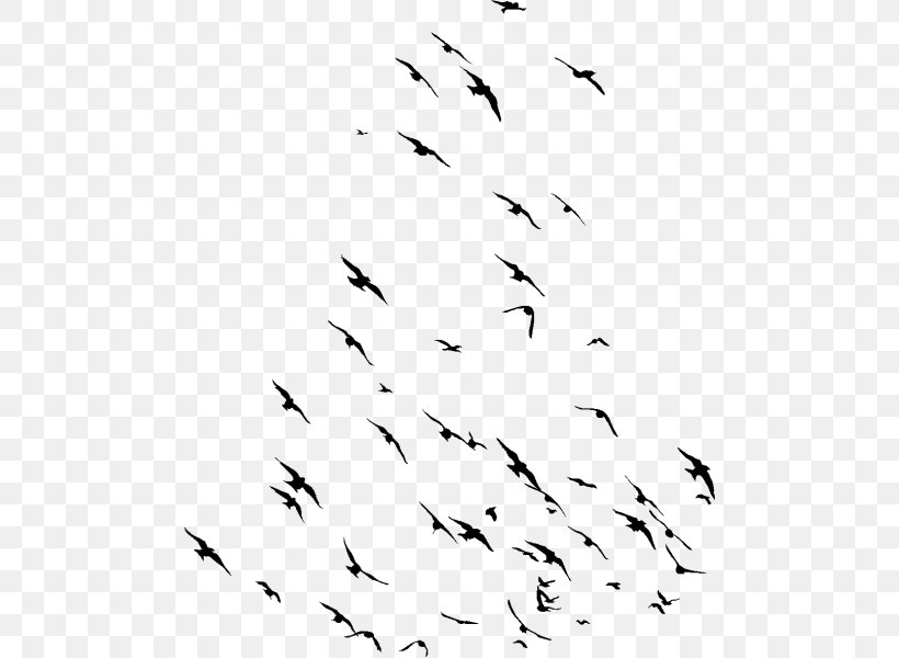 Flock White Bird Bird Migration Text, PNG, 600x600px, Flock, Animal Migration, Bird, Bird Migration, Blackandwhite Download Free