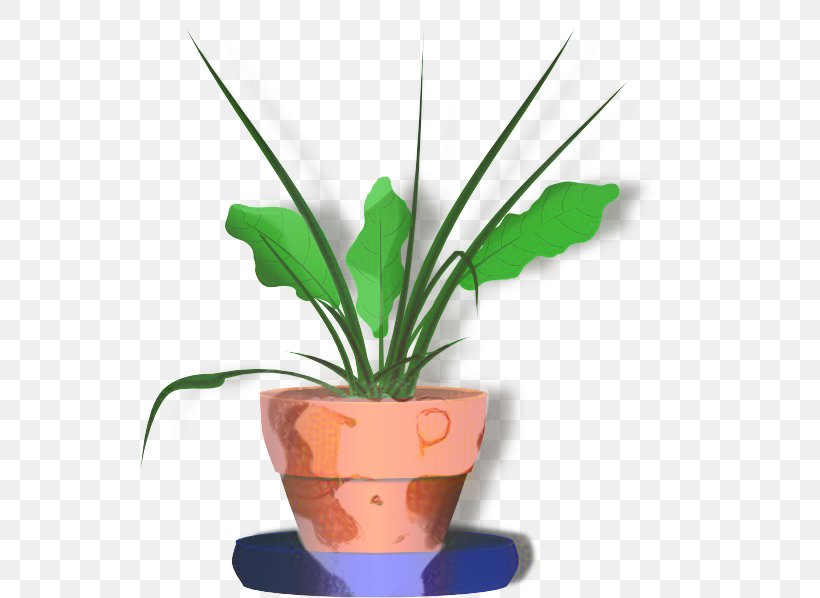Flowerpot Houseplant Clip Art Plants, PNG, 540x598px, Flowerpot, Animation, Anthurium, Cartoon, Flower Download Free