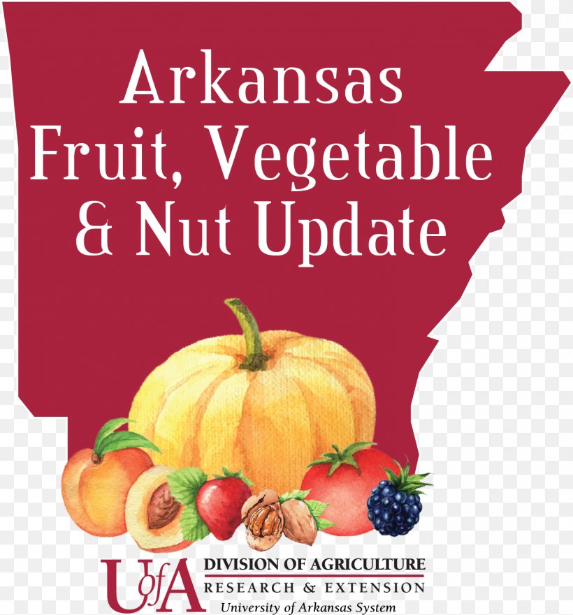 Vegetarian Cuisine Fruit Vegetable Arkansas, PNG, 1486x1598px, Vegetarian Cuisine, Advertising, Arkansas, Blackberry, Diet Download Free