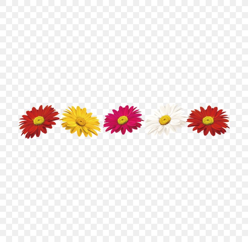 Chrysanthemum Flower Angle, PNG, 800x800px, Chrysanthemum, Dahlia, Drawing, Floral Design, Flower Download Free