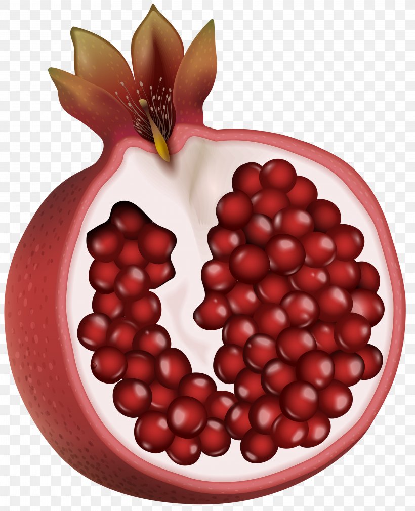 Pomegranate Fruit Blueberries Clip Art, PNG, 4057x5000px, Pomegranate, Apple, Berry, Cranberry, Food Download Free