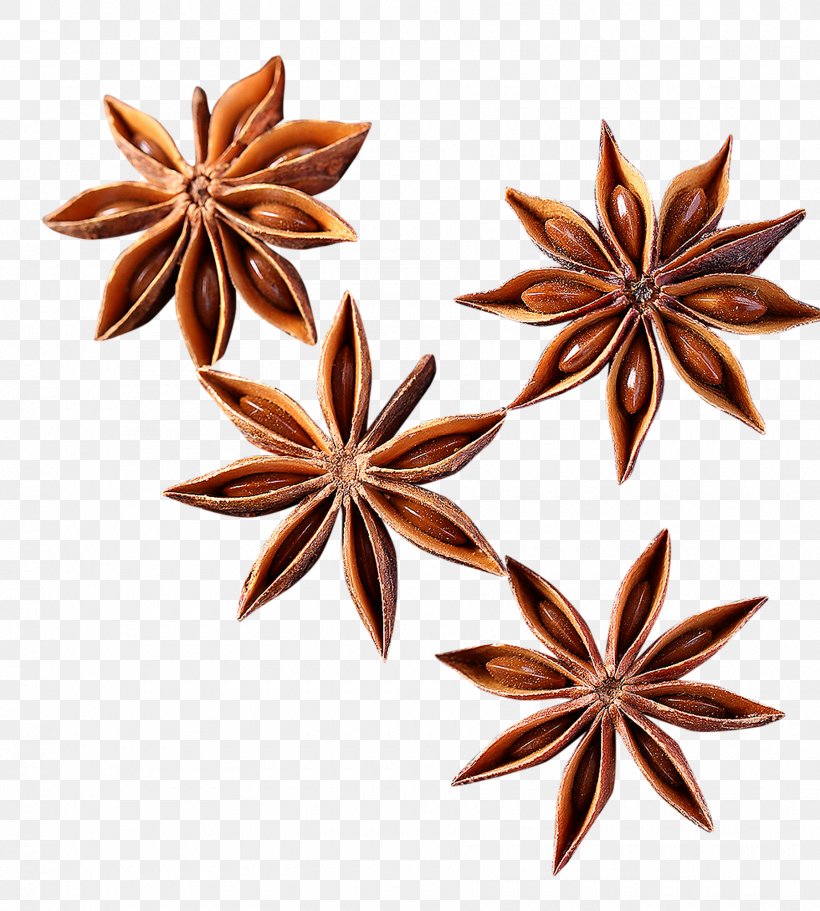 Vector Graphics Illustration Clip Art Drawing, PNG, 1800x2000px, Drawing, Fivepointed Star, Ingredient, Royaltyfree, Spice Download Free