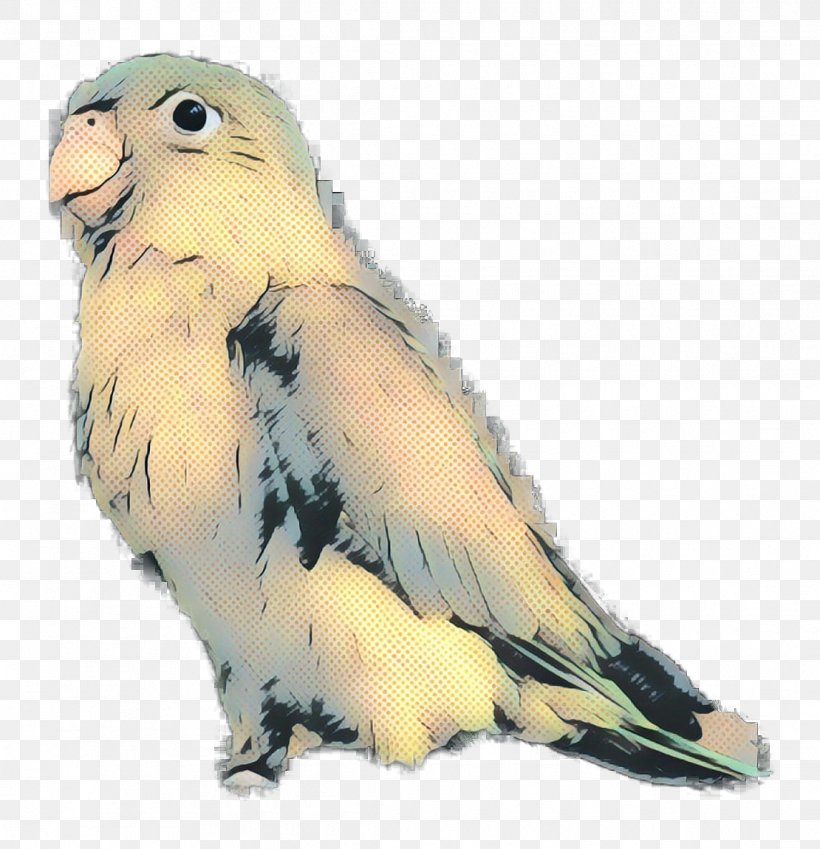 Cockatiel Lovebird Parakeet Macaw Cockatoo, PNG, 1110x1150px, Cockatiel, Beak, Bird, Bird Of Prey, Cockatoo Download Free