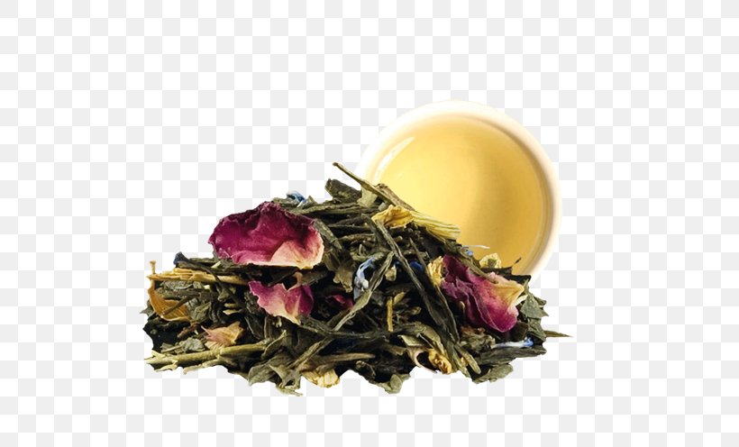 Green Tea Tea Bag Sencha Darjeeling Tea, PNG, 532x496px, Tea, Black Tea, Breakfast, Da Hong Pao, Darjeeling Tea Download Free
