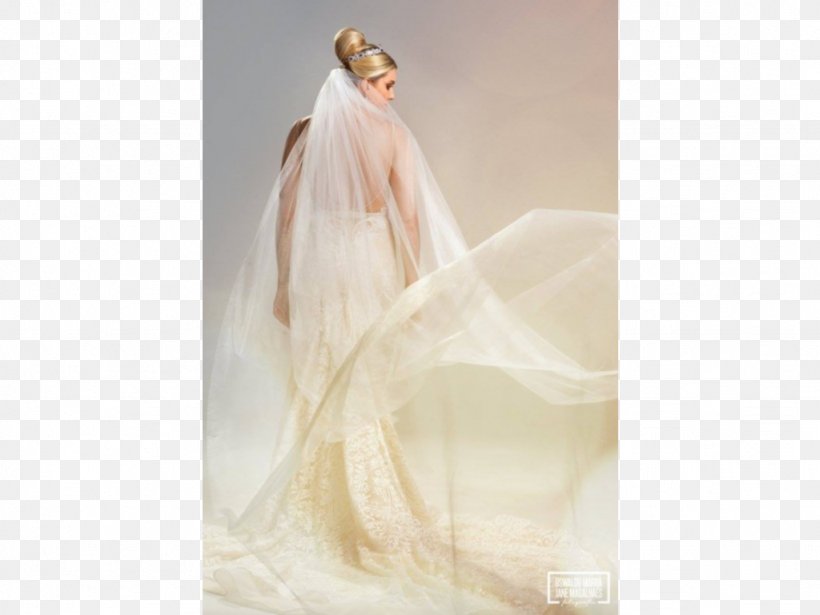 Wedding Dress Silk Veil Gown, PNG, 1024x768px, Wedding Dress, Bridal Accessory, Bridal Clothing, Bridal Veil, Bride Download Free