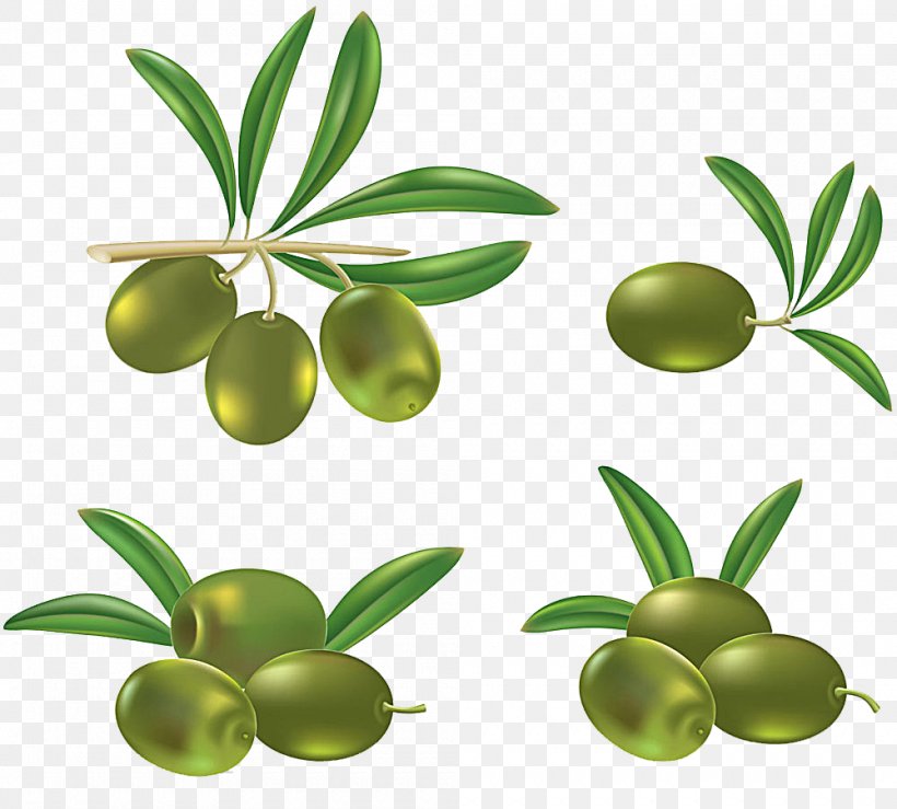 Olive Oil Clip Art, PNG, 1000x902px, Olive, Banco De Imagens, Drawing, Food, Fruit Download Free