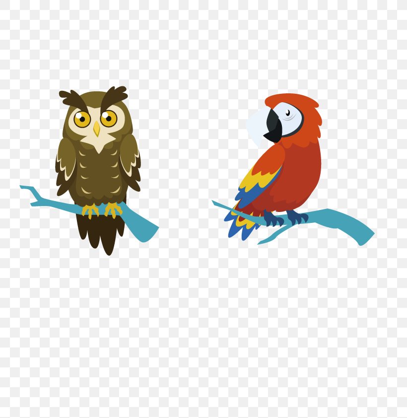 Owl Bird Parrot Crows Macaw, PNG, 800x842px, Owl, Animal, Beak, Bird, Bird Of Prey Download Free