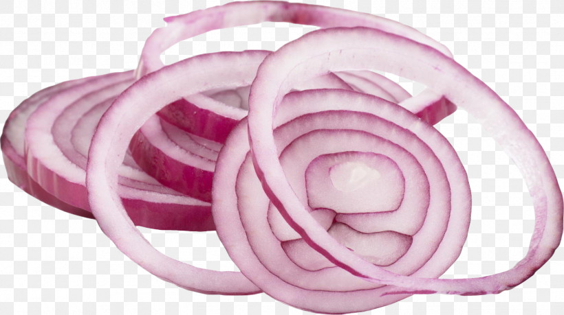 Rose, PNG, 1551x870px, Red Onion, Allium, Amaryllis Family, Flower, Food Download Free