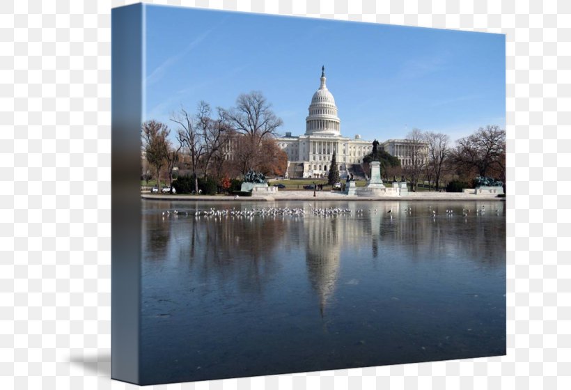 United States Capitol Lincoln Memorial Reflecting Pool Tourist Attraction George Washington University Landmark Theatres, PNG, 650x560px, United States Capitol, District Of Columbia, George Washington University, Landmark, Landmark Theatres Download Free