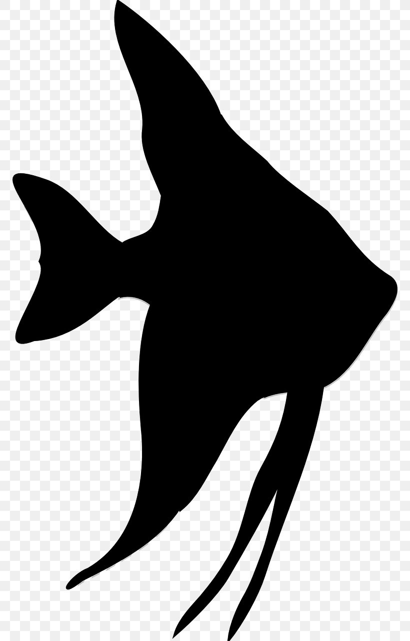 Silhouette Fish Clip Art, PNG, 770x1280px, Silhouette, Angelfish, Artwork, Beak, Black Download Free