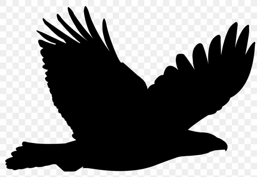 Bald Eagle Clip Art Vector Graphics Bird, PNG, 1280x883px, Eagle, Accipitriformes, Animal, Bald Eagle, Beak Download Free
