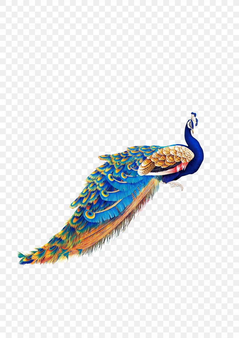 Bird Peafowl Wallpaper, PNG, 2480x3508px, Bird, Art, Feather, Flower, Illustration Download Free