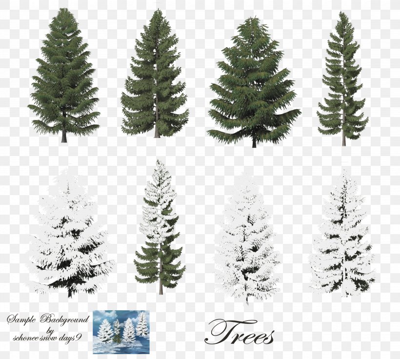 Fir Tree Conifers Clip Art, PNG, 4496x4040px, Fir, Christmas Decoration, Christmas Ornament, Christmas Tree, Conifer Download Free