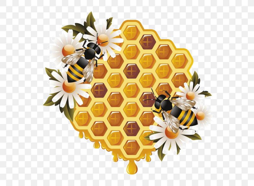 Honey Bee Worker Bee Beehive, PNG, 600x600px, Bee, Beehive, Bumblebee