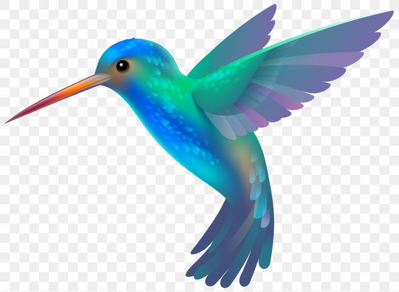 Hummingbird Free Content Stock.xchng Clip Art, PNG, 8000x5867px, Hummingbird, Beak, Bird, Drawing, Fauna Download Free