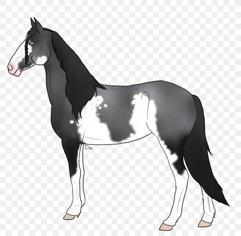 Mustang Stallion Foal Colt Mare, PNG, 800x800px, Mustang, Black And White, Bridle, Colt, Foal Download Free