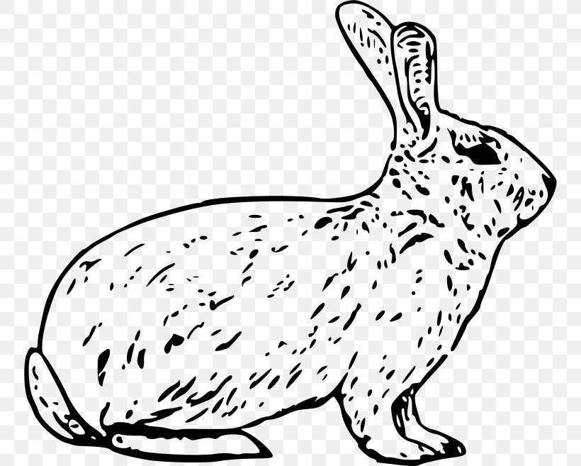 Arctic Hare Snowshoe Hare European Hare Easter Bunny, PNG, 752x657px, Arctic Hare, Animal Figure, Arctic, Arctic Fox, Black And White Download Free