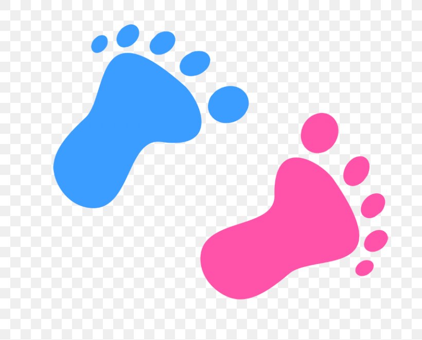 Ecological Footprint Clip Art Paw, PNG, 768x661px, Footprint, Animal Track, Art, Claw, Drawing Download Free