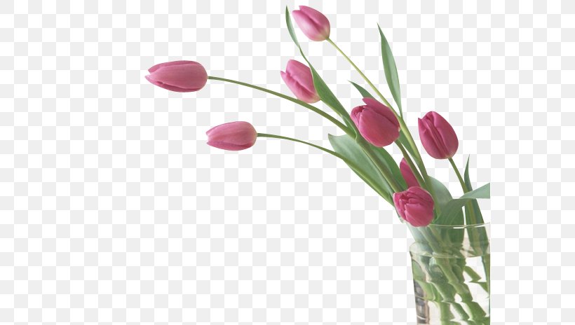 Flower Tulip Desktop Wallpaper, PNG, 578x464px, Flower, Blog, Bud, Cut Flowers, Desktop Metaphor Download Free