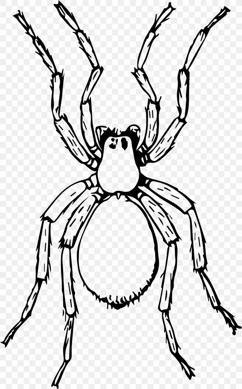 Miss Spider Drawing Aunt Sponge Clip Art, PNG, 1433x2303px, Miss Spider, Antler, Artwork, Aunt Spiker, Aunt Sponge Download Free