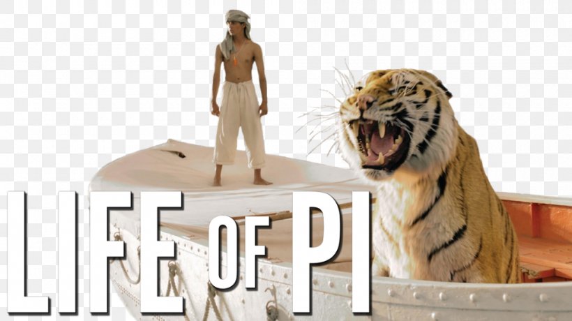 Life Of Pi Pi Patel Adventure Film Hollywood, PNG, 1000x562px, Life Of Pi, Adventure Film, Bengal Tiger, Big Cats, Carnivoran Download Free