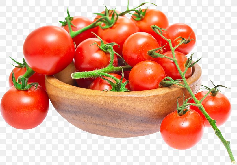 Plum Tomato Bush Tomato Cherry Tomato Vegetable Pizza, PNG, 5130x3573px, Plum Tomato, Bush Tomato, Cherry Tomato, Coloradotexas Tomato War, Cooking Download Free