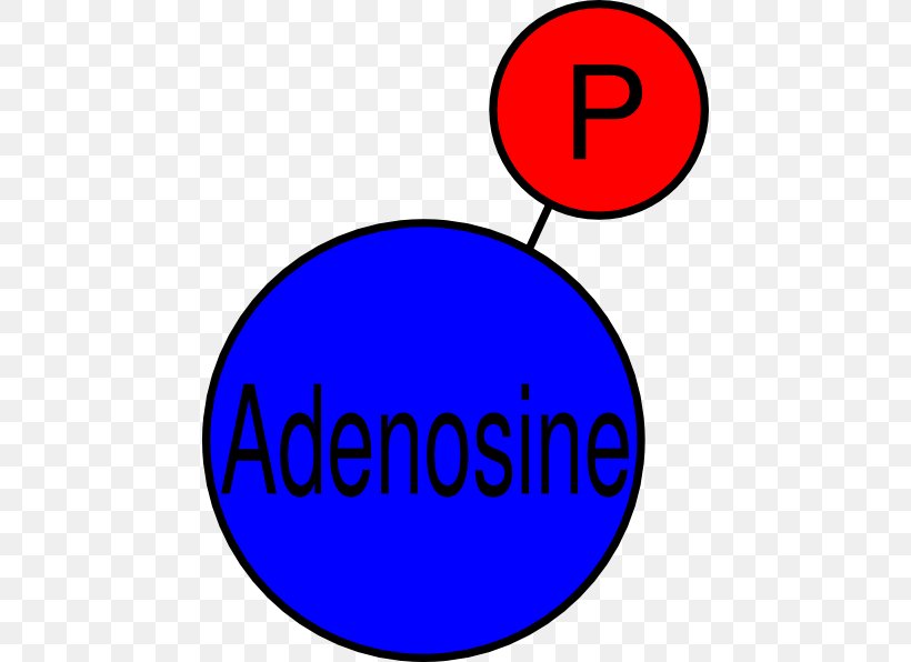 Adenosine Diphosphate Adenosine Triphosphate Pyrophosphate, PNG, 456x596px, Adenosine Diphosphate, Adenosine, Adenosine Triphosphate, Area, Brand Download Free