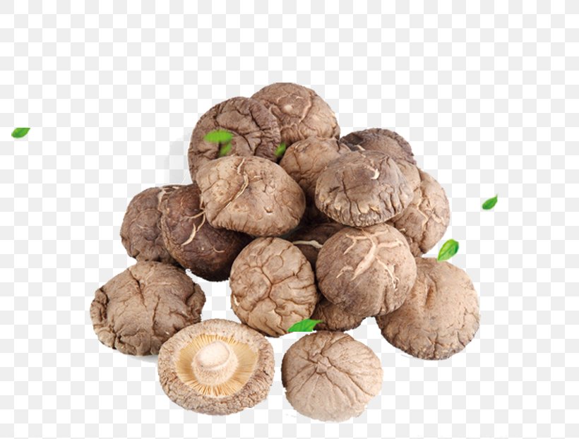 China Shiitake Oyster Mushroom Japanese Cuisine Food Drying, PNG, 800x622px, China, Cloud Ear Fungus, Common Mushroom, Edible Mushroom, Food Drying Download Free