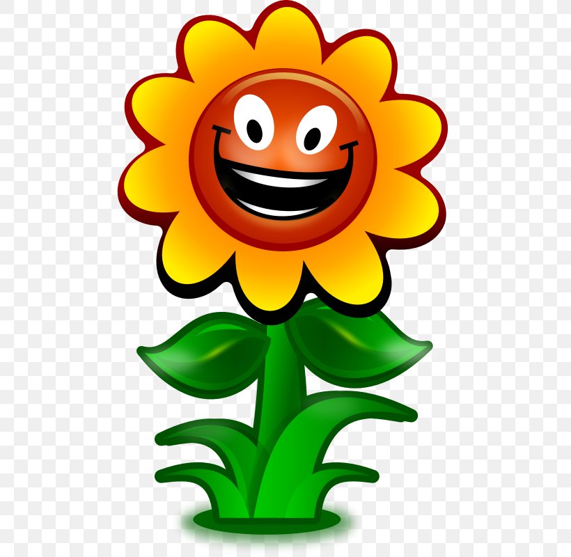 Common Sunflower Smiley Free Content Clip Art, PNG, 800x800px, Common Sunflower, Cartoon, Cut Flowers, Daisy Family, Drawing Download Free